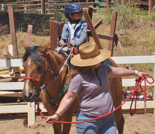 Equine therapy program expands to South Monterey County Wonder Wood Ranch equine therapy