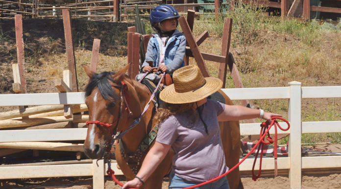 Wonder Wood Ranch equine therapy