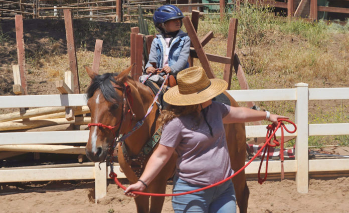 Wonder Wood Ranch equine therapy