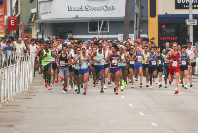 paj2530 Wharf to Wharf preview - web-1