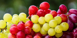 Grapes
