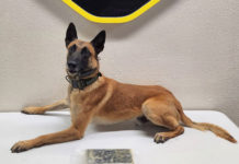 Monterey County Sheriff’s Office K9 Rocket