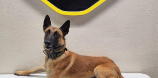 Monterey County Sheriff’s Office K9 Rocket