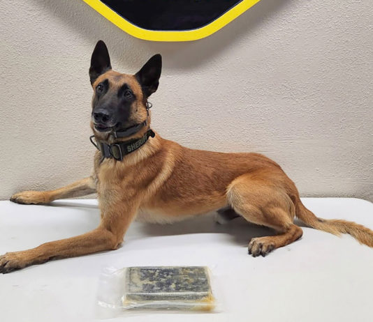 K9 Rocket locates 2.2 pounds of fentanyl during traffic stop near Greenfield Monterey County Sheriffās Office K9 Rocket