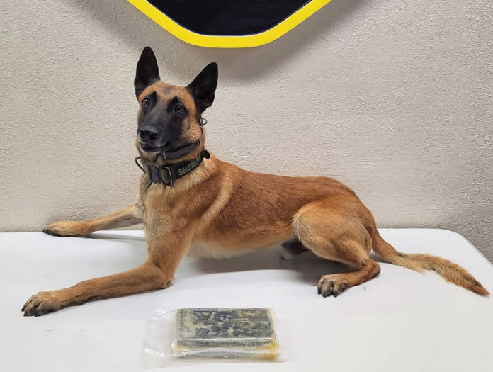 GF-MCSO-traffic-drug-bust-k-9-photo Monterey County Sheriff’s Office K9 Rocket