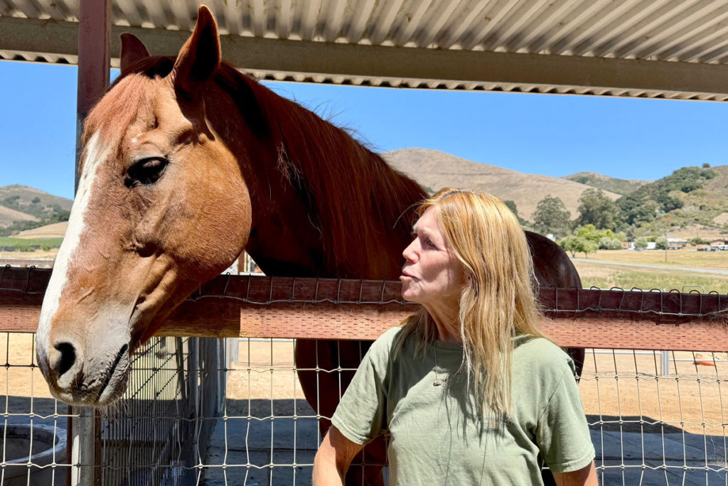 Hope, Horses & Kids