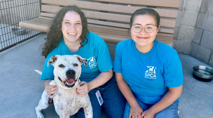 SPCA Monterey County Humane Education community educators