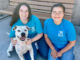 SPCA Monterey County Humane Education community educators