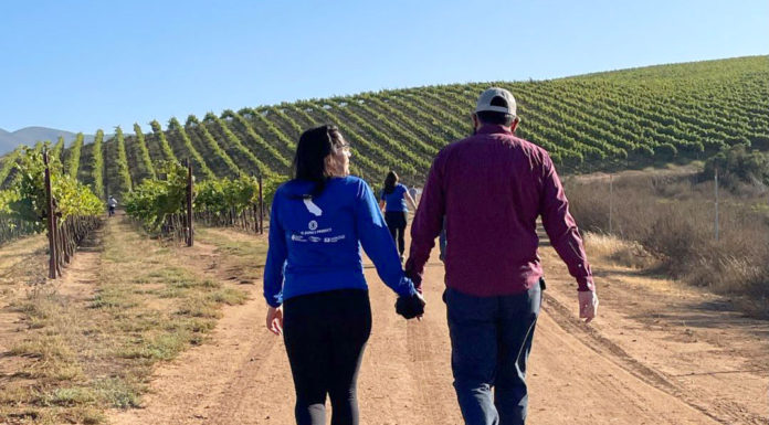 Blue Zones Project hiking CRU Winery Soledad