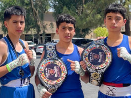 King City Boxing Club