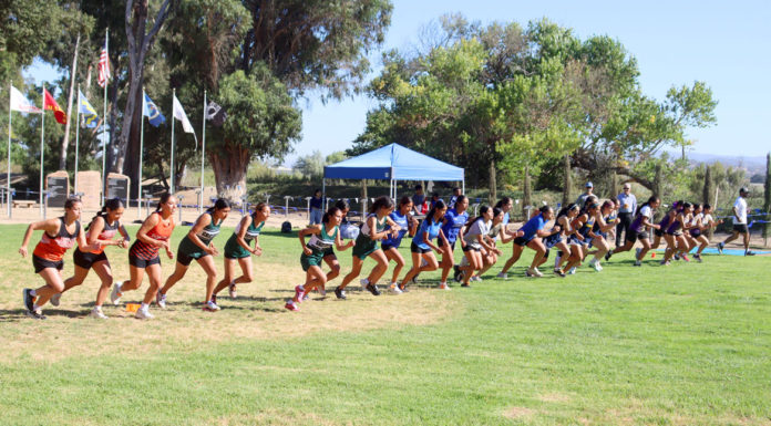 Cross Country | King City hosts 2025 invitational Saturday South County Cross Country Meet King City