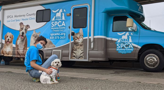 SPCA offers mobile spay/neuter clinics in King City this September SPCA Monterey County Mobile Clinic