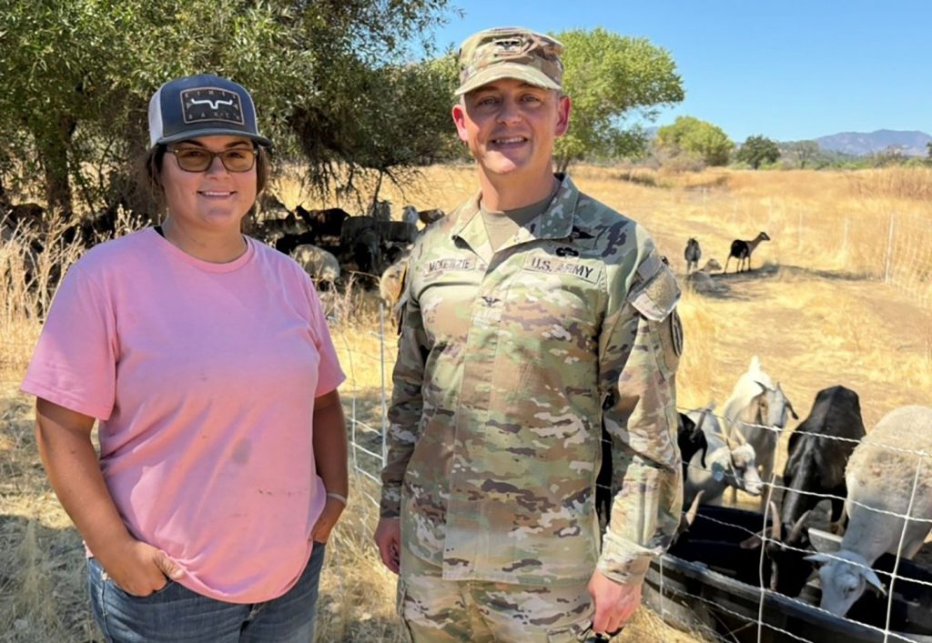 Fort Hunter Liggett targeted grazing goats