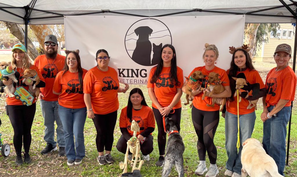 King City Veterinary Clinic team