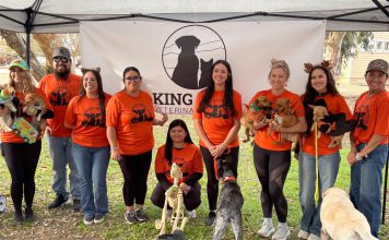 King City Veterinary Clinic team