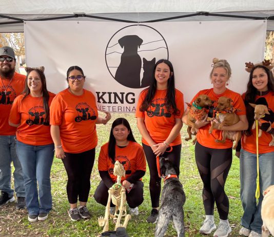 King City Veterinary Clinic hosts first Paws and Pumpkins Fun Run King City Veterinary Clinic team