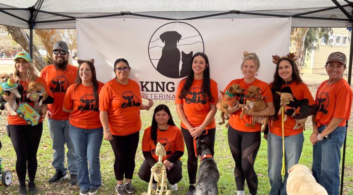 King City Veterinary Clinic hosts first Paws and Pumpkins Fun Run King City Veterinary Clinic team