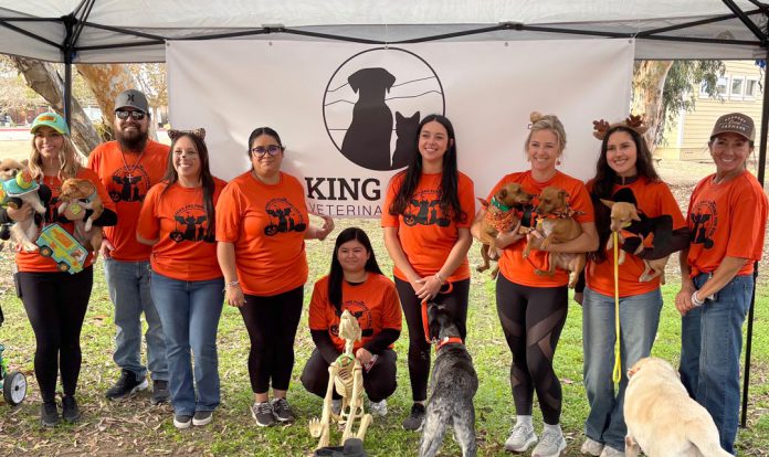 Paws-and-Pumpkins-Fun-Run-KCVC-Team King City Veterinary Clinic team