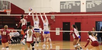 Volleyball King City Palma