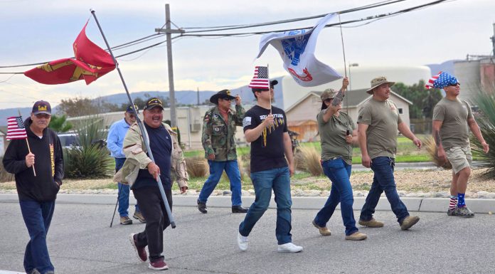 Greenfield Veterans Day Parade veterans march