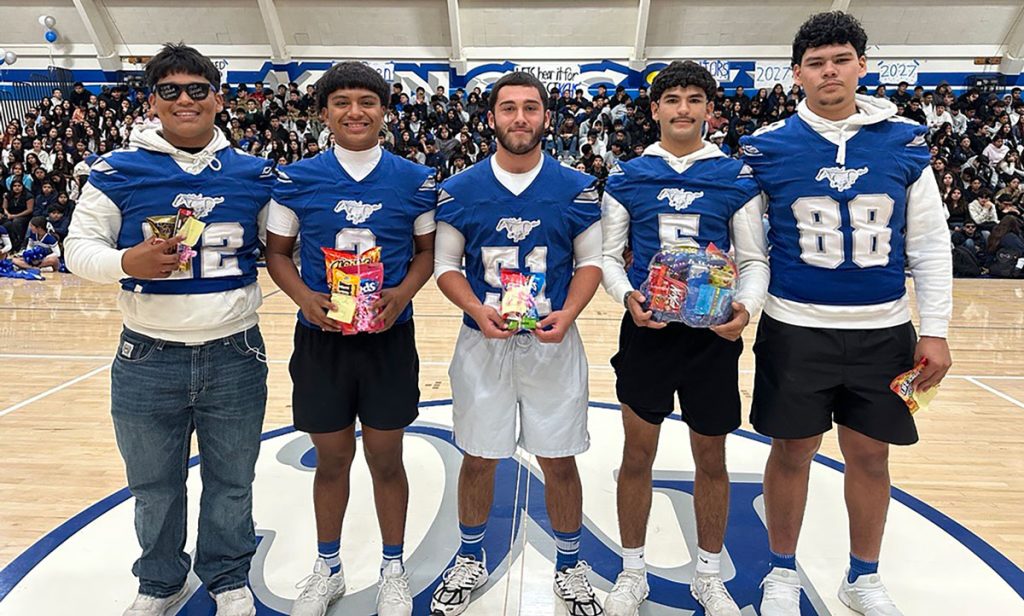 Mr. Mustang penny collection