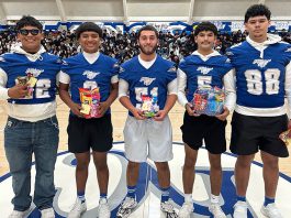 Mr. Mustang penny collection