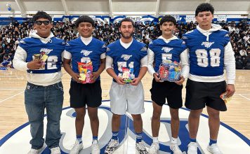 Mr. Mustang penny collection