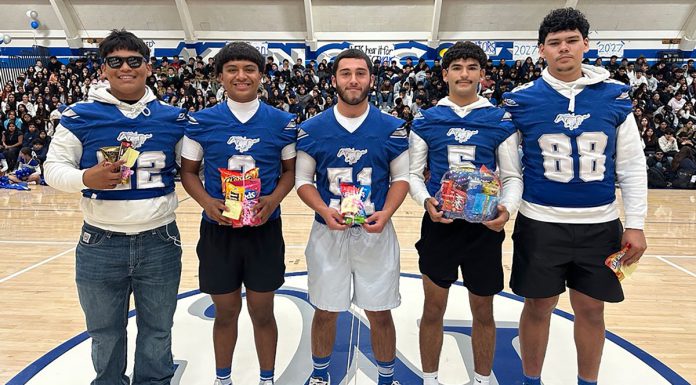 Mr. Mustang penny collection