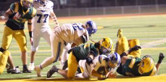 King City Mustangs football