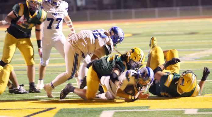 King City Mustangs football