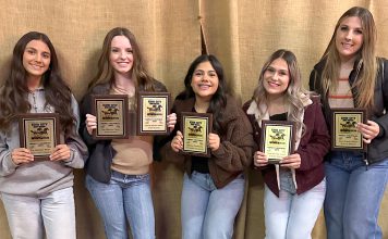 King City varsity volleyball award winners