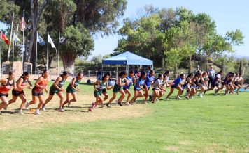 Cross Country runners