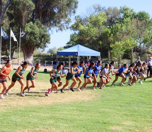 Cross Country runners