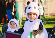 King City’s 8th annual Trunk or Treat brings spooky fun to fairgrounds King City Trunk or Treat