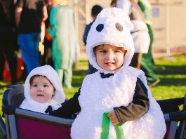King Cityās 8th annual Trunk or Treat brings spooky fun to fairgrounds King City Trunk or Treat