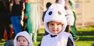 King City Trunk or Treat