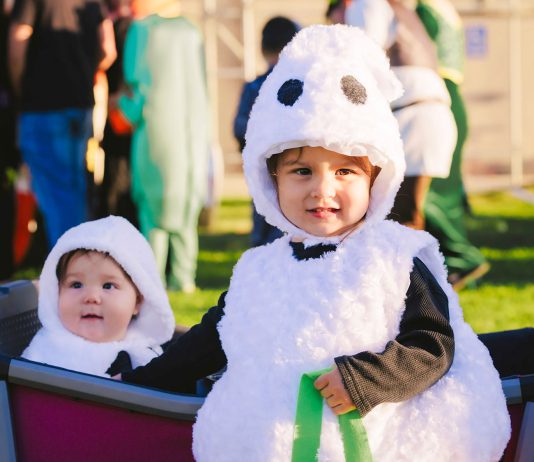 King Cityās 8th annual Trunk or Treat brings spooky fun to fairgrounds King City Trunk or Treat