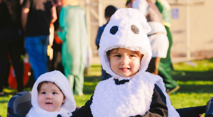 King City’s 8th annual Trunk or Treat brings spooky fun to fairgrounds King City Trunk or Treat