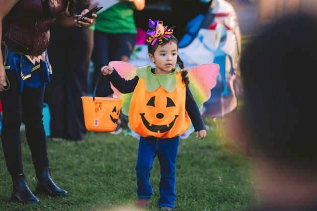 King City Trunk or Treat