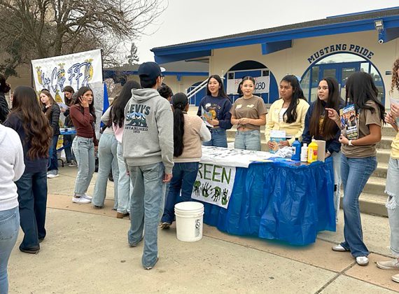 Students visit booths on campus