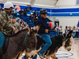 Donkey basketball