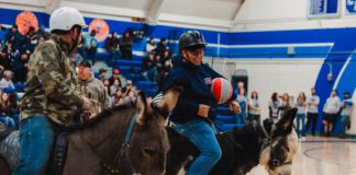Donkey basketball
