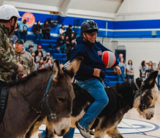 Donkey basketball