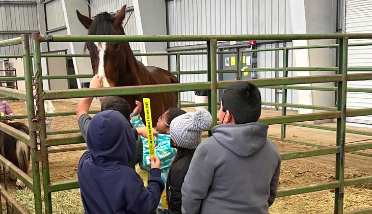 Farm Day youth with horse