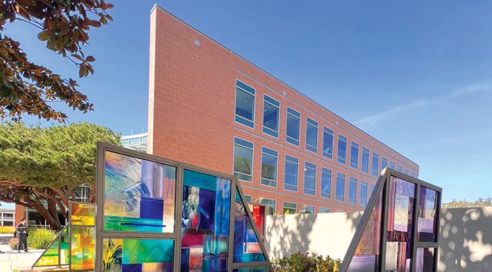 Covid-19 Memorial Garden