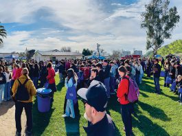 Regional Career Fair