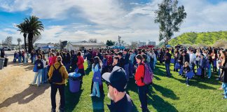 Regional Career Fair