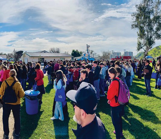 Regional Career Fair