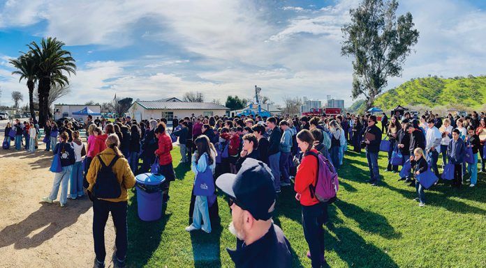 Regional Career Fair