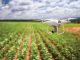 Drone over ag field